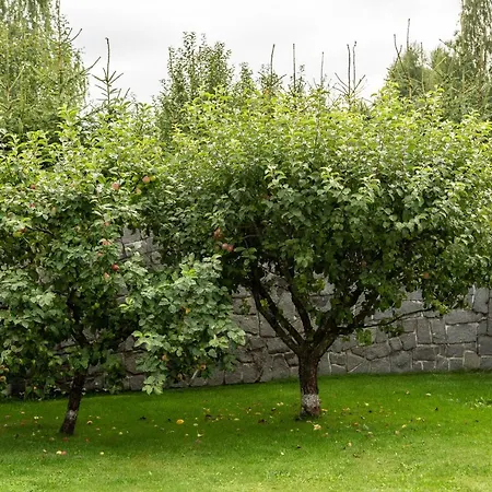 Tatryhome * Wielki Sławków